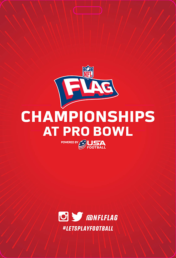 usafb flag championship credential2
